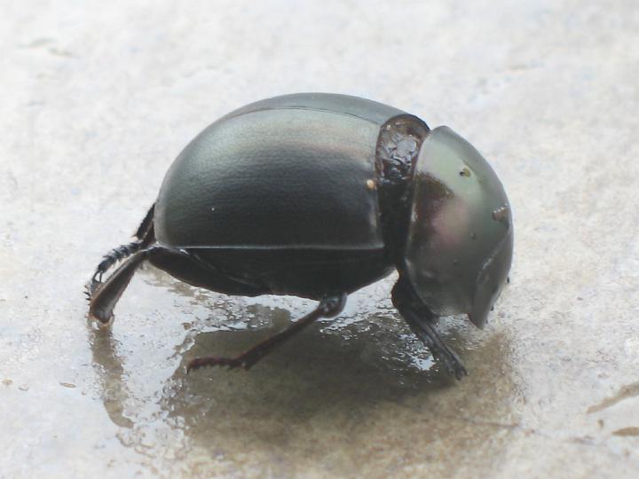 Kenya 139